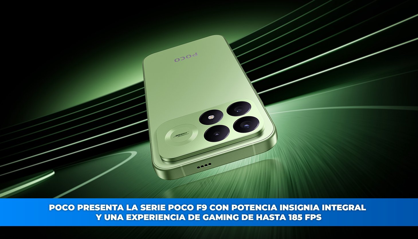 cvdffdgfdgffg